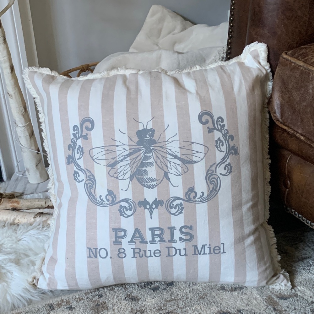 Shabby chic Striped Paris Bee Throw Pillow size‎ 22x22 neutral fringe cream tan